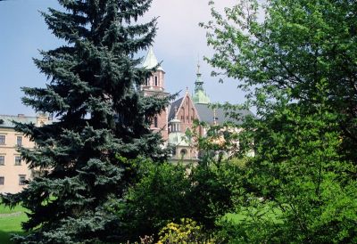 8801506749 26ecb412de o