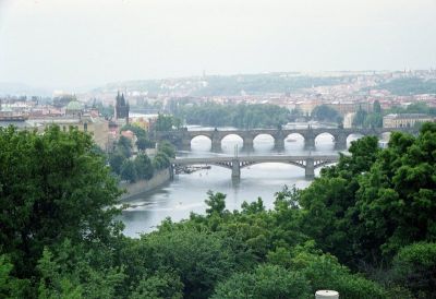 8801576501 ef4a2286d1 o