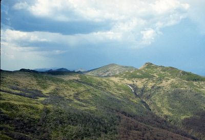 8812103634 715e01b843 o