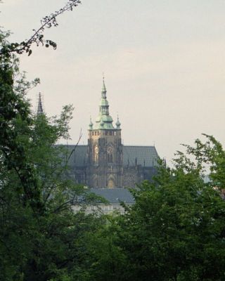 8812205002 7f8f791e01 o