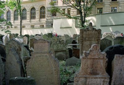 8812239744 7a23bec51e o