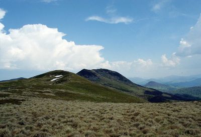 tarnica 8801521453 o