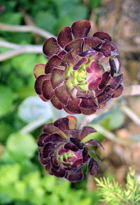 8801423921 dc2f440263 o