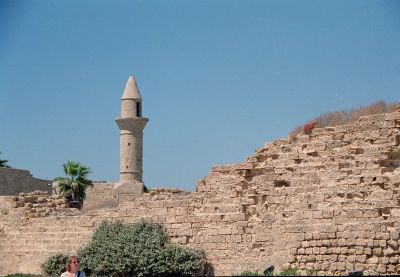 8811952500 a7c8c07666 o