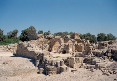 8811953896 3c4e9eba40 o