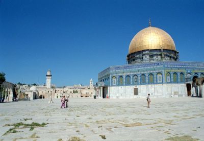 8811957562 8d433ca08e o