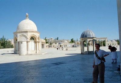 8811958154 26c5e45980 o