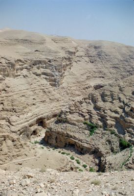 8811960362 aafd268901 o