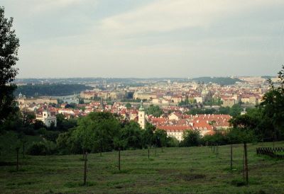 widok z petrinu 8812198346 o