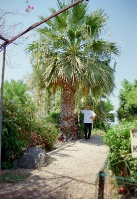 8811976540 321657e8ab o