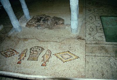 8811977156 666d1156aa o