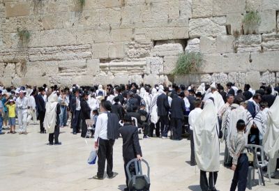 8812003614 a66dc89f48 o