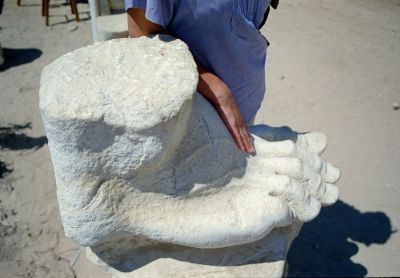 cezarea nadmorska 8801363231 o