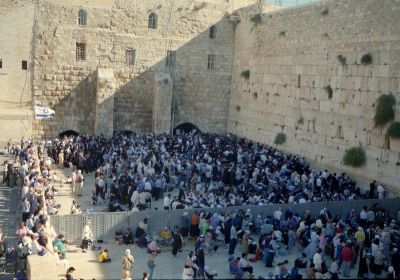 ciana paczu 8811955946 o