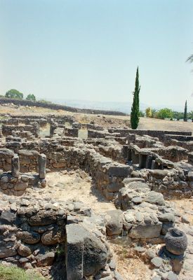 kafarnaum 8801395673 o