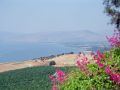 widok na jezioro galilejskie 8801388407 o