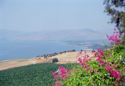 widok na jezioro galilejskie 8801388407 o