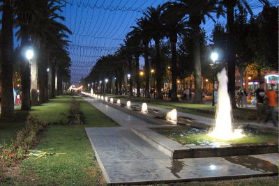 fez noc 8851502272 o