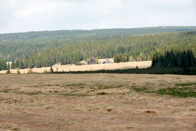 2019 05 02T13 14 44 IMG 7486