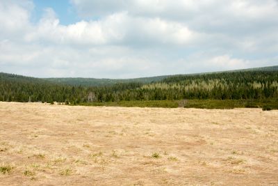 2019 05 02T13 16 21 IMG 7504