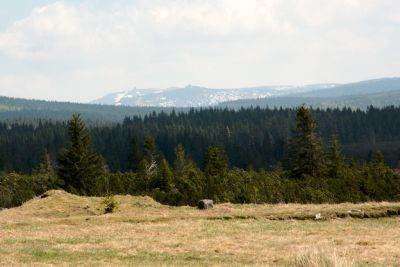 2019 05 02T13 31 25 IMG 7513