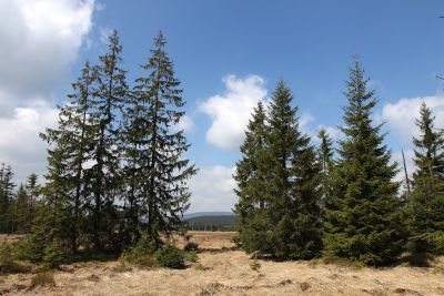 2019 05 02T13 36 15 IMG 5736