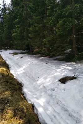 2019 05 02T14 28 57 IMG 20190502 142857