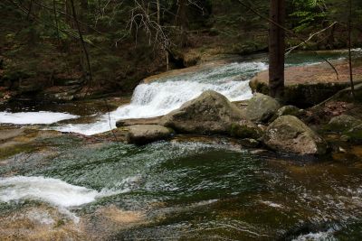 2019 05 03T12 00 07 IMG 7551