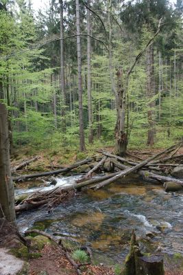 2019 05 03T12 01 21 IMG 7552