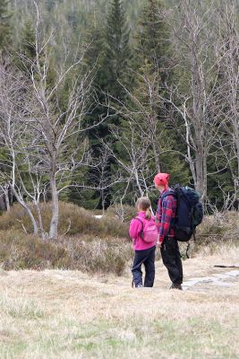 2019 05 03T14 27 26 IMG 5863