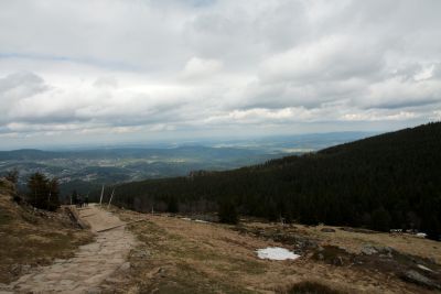 2019 05 03T14 53 06 IMG 7556