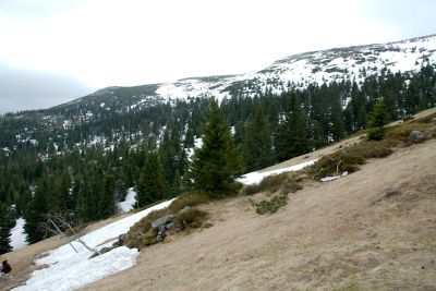 2019 05 03T14 53 40 IMG 7561