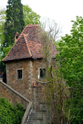 2019 05 04T13 15 38 IMG 7580