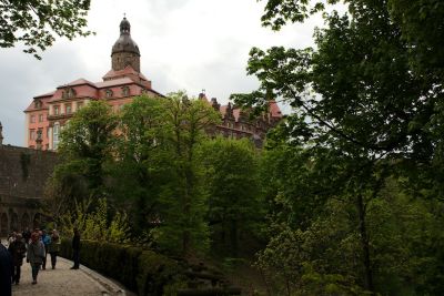 2019 05 04T13 29 09 IMG 7599