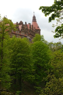 2019 05 04T13 29 55 IMG 7605