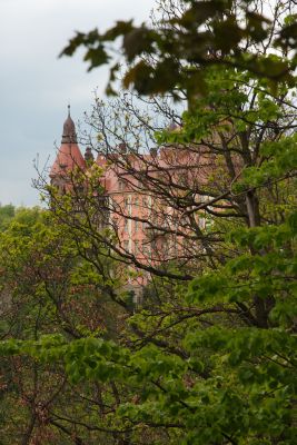 2019 05 04T13 41 24 IMG 7610