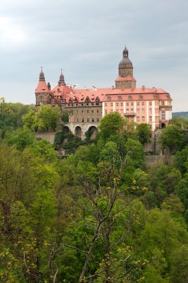 2019 05 04T13 47 32 IMG 7614