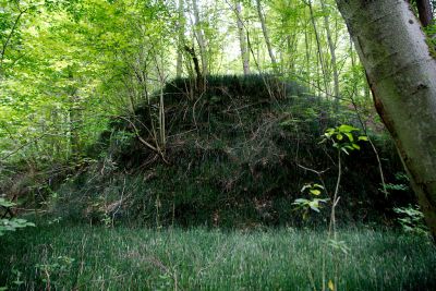 2019 07 13T14 14 57 IMG 8483