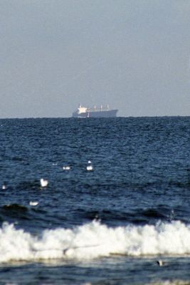 8812650230 74d2f6c85c o