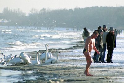 8812652010 7d3b52bdb3 o