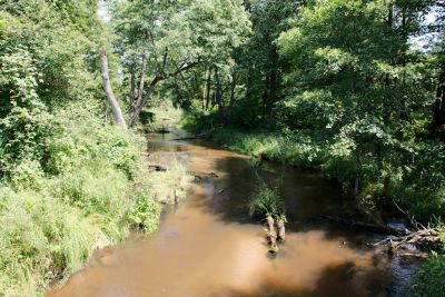 2019 07 16T13 02 07 IMG 8607