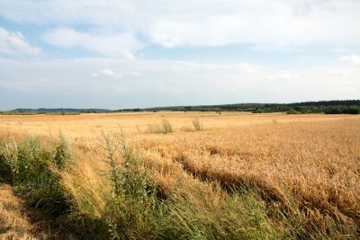 2019 07 16T17 51 35 IMG 8653