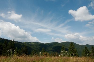 2019 08 05T12 21 49 IMG 8710