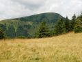 2019 08 08T12 38 33 IMG 8832