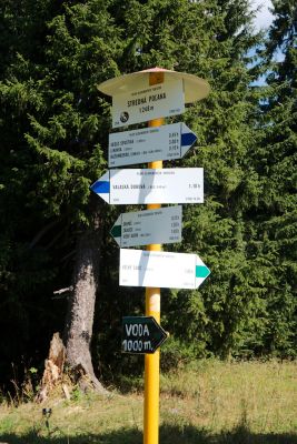 2019 08 09T11 22 25 IMG 8889