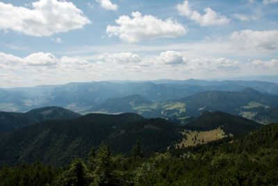 2019 08 09T13 00 32 IMG 8901