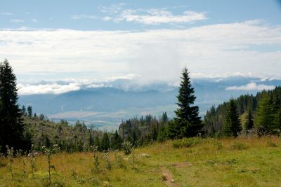 2019 08 11T11 33 17 IMG 8917