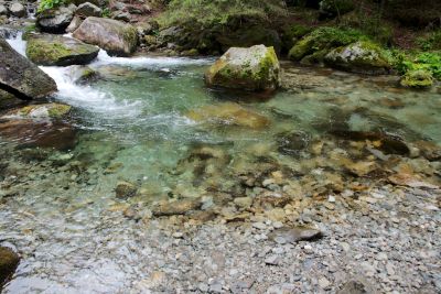 2019 08 13T11 26 59 IMG 8947