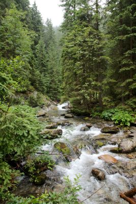 2019 08 13T11 27 32 IMG 8949