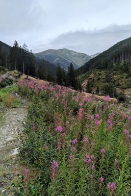 2019 08 14T15 19 30 IMG 20190814 151930